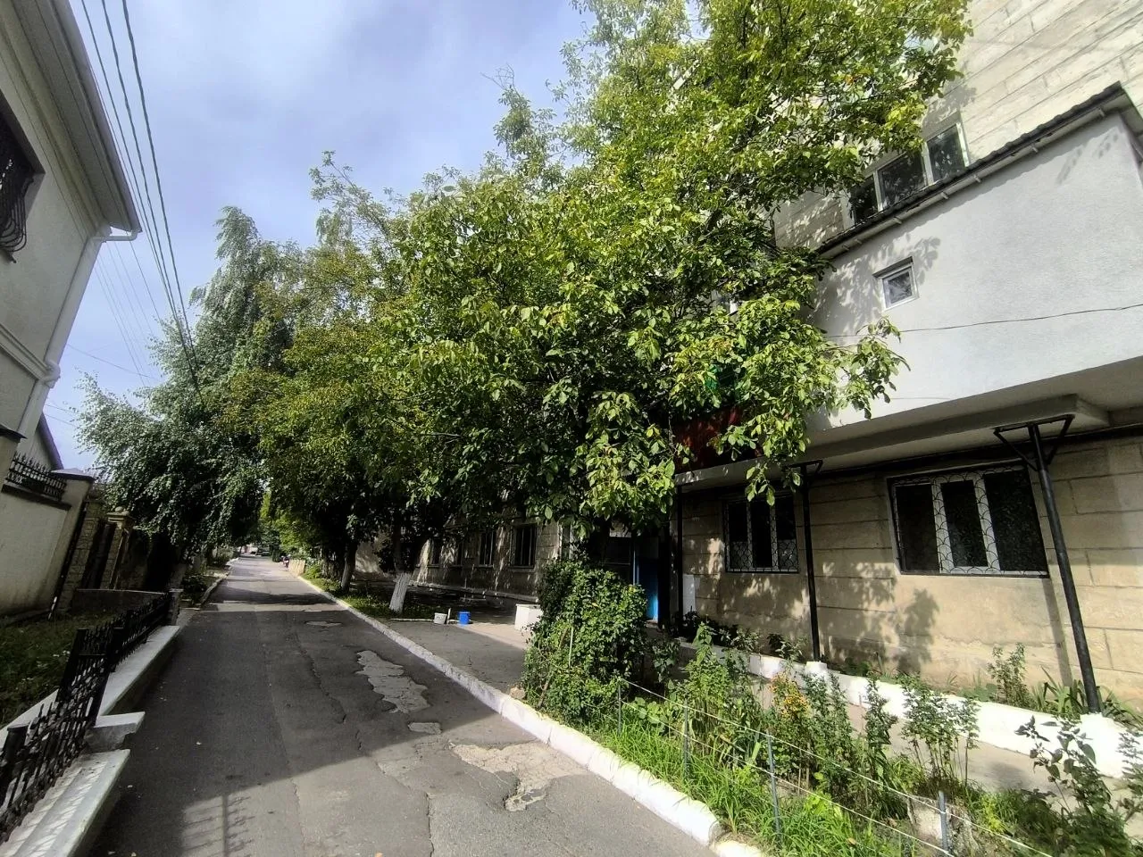 Кишинев Буюканы ул. Сэлкуца 6