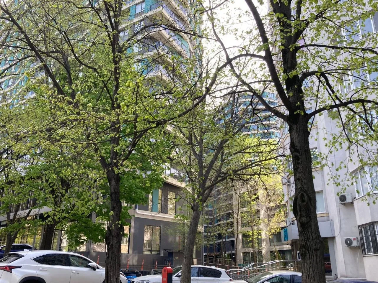 Chișinău Rîșcani str. Bogdan Voievod 8