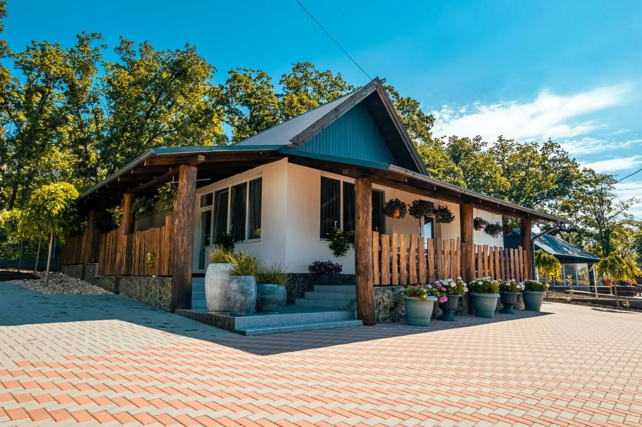 Ialoveni sat. Suruceni 19