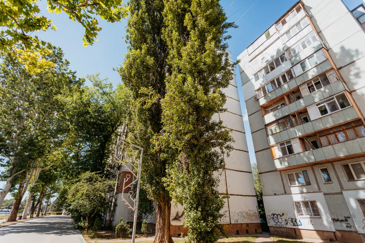 Chișinău Botanica bd. Dacia 14