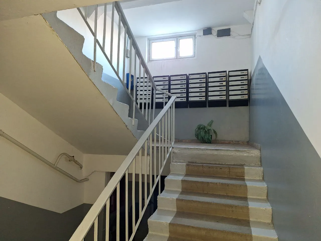 Chișinău Botanica str. Costiujeni 12