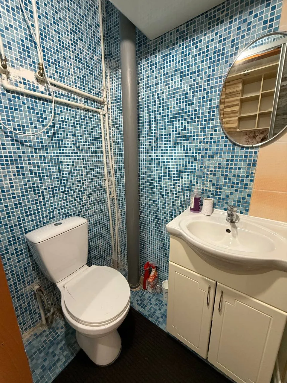 Кишинев Ботаника, ул. Бэчой Ной 5