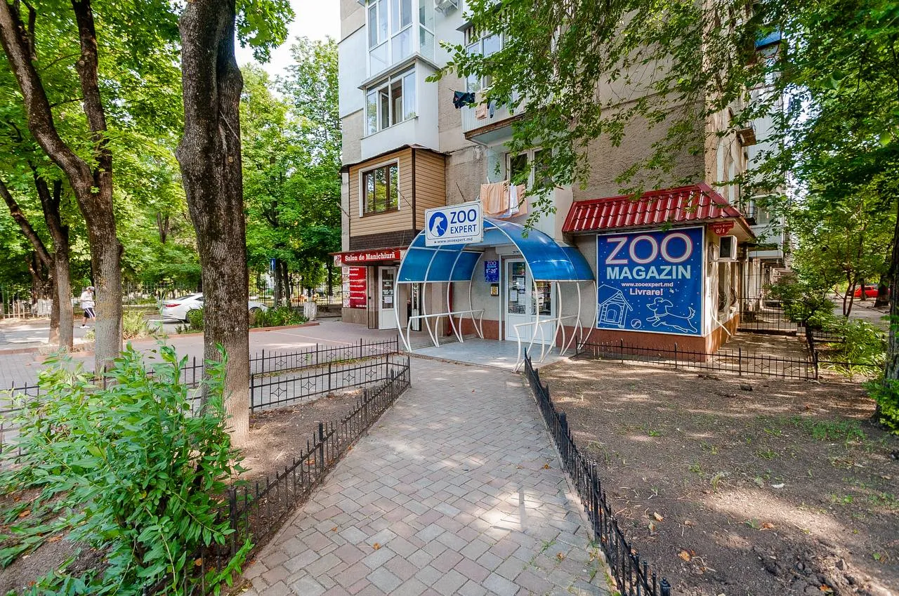 Chișinău Rîșcani str. Alecu Russo 13
