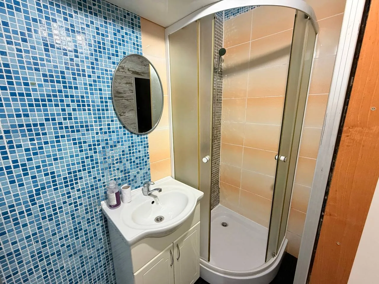 Кишинев Ботаника, ул. Бэчой Ной 6