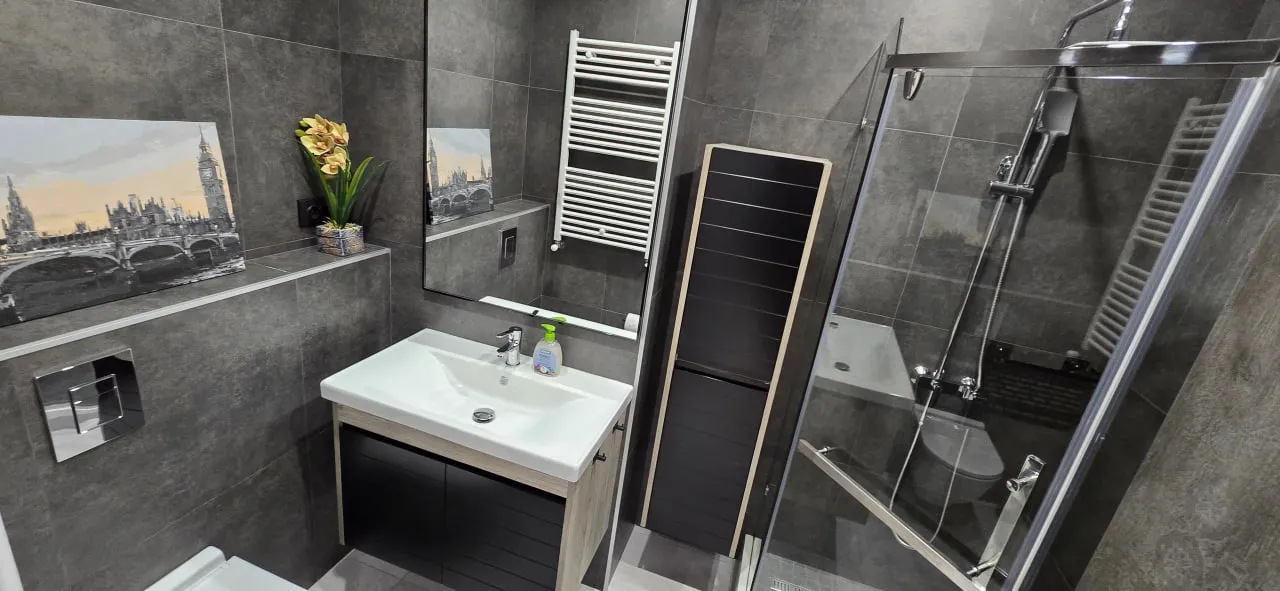 Chișinău Centru str. Albișoara 8