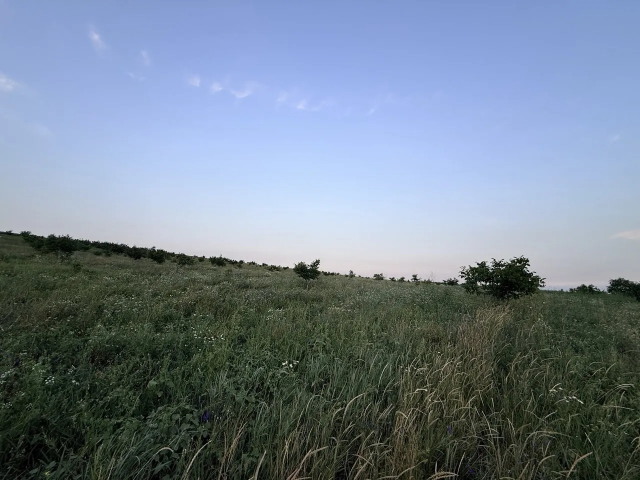 Яловень, Пухой 1
