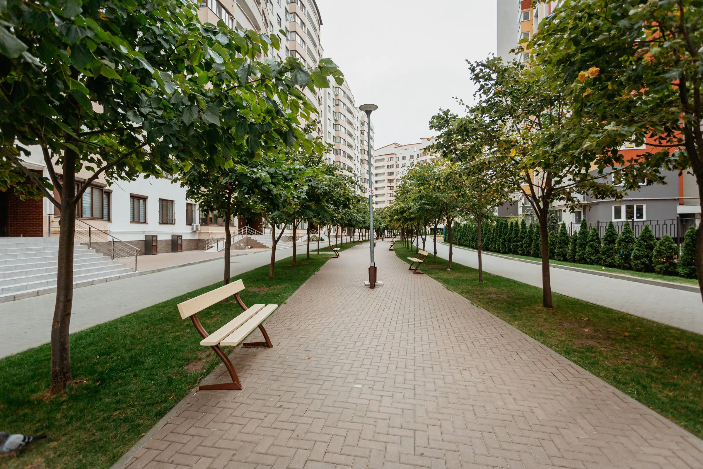 Chișinău Ciocana str. Mihail Sadoveanu 13