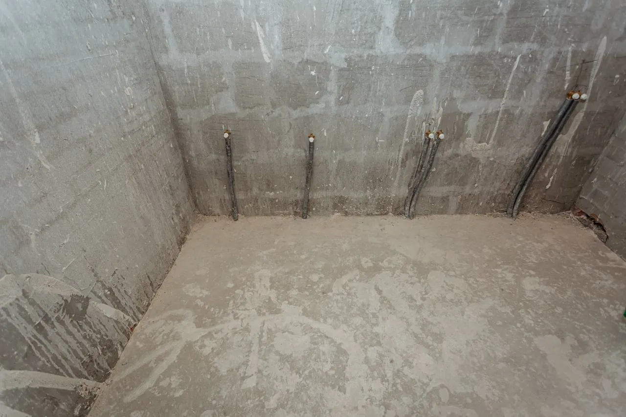 Кишинев Ботаника ул. Тудор Стришкэ 12