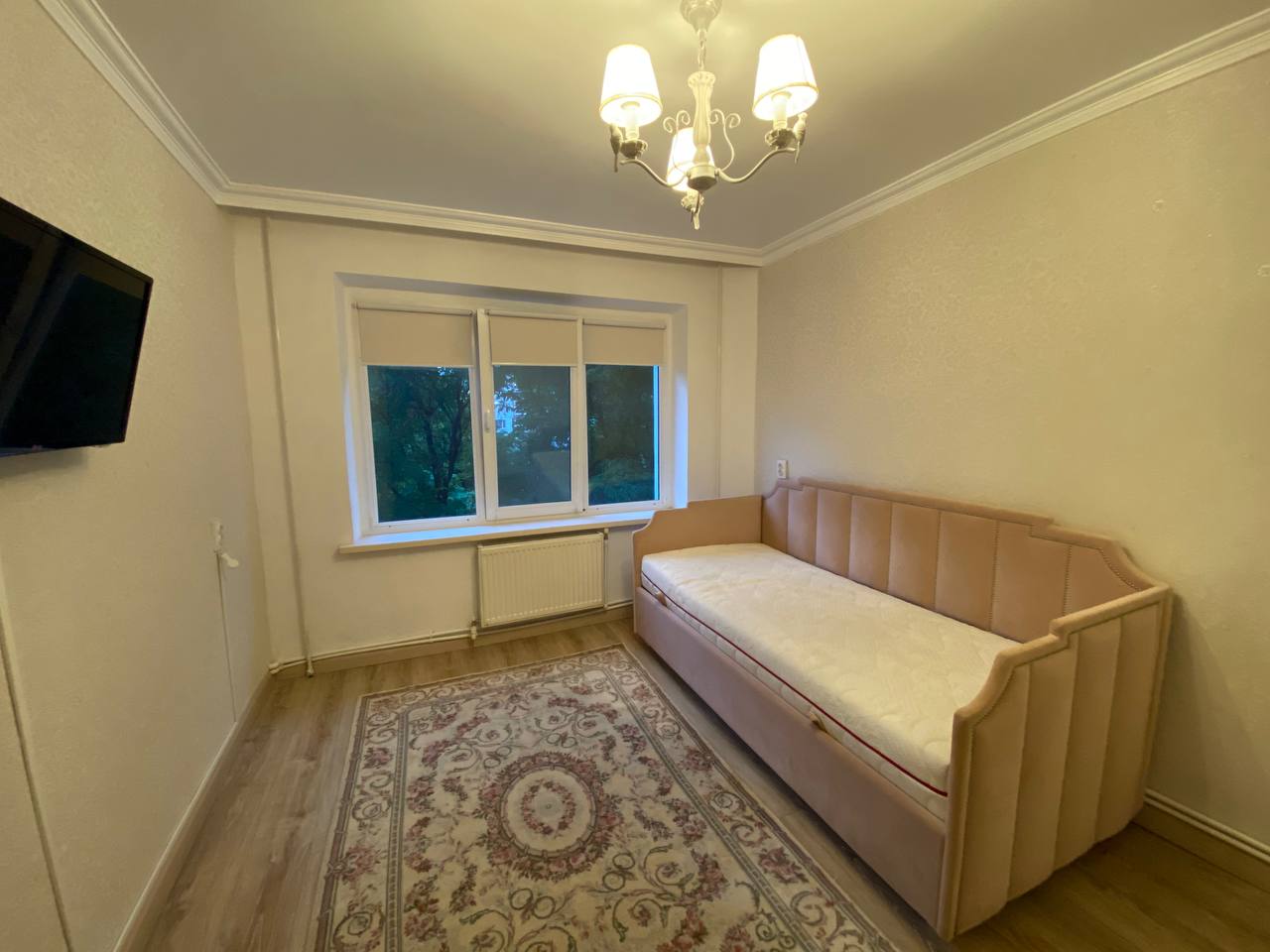 Кишинев Чокана бул. Мирча чел Бэтрын 3