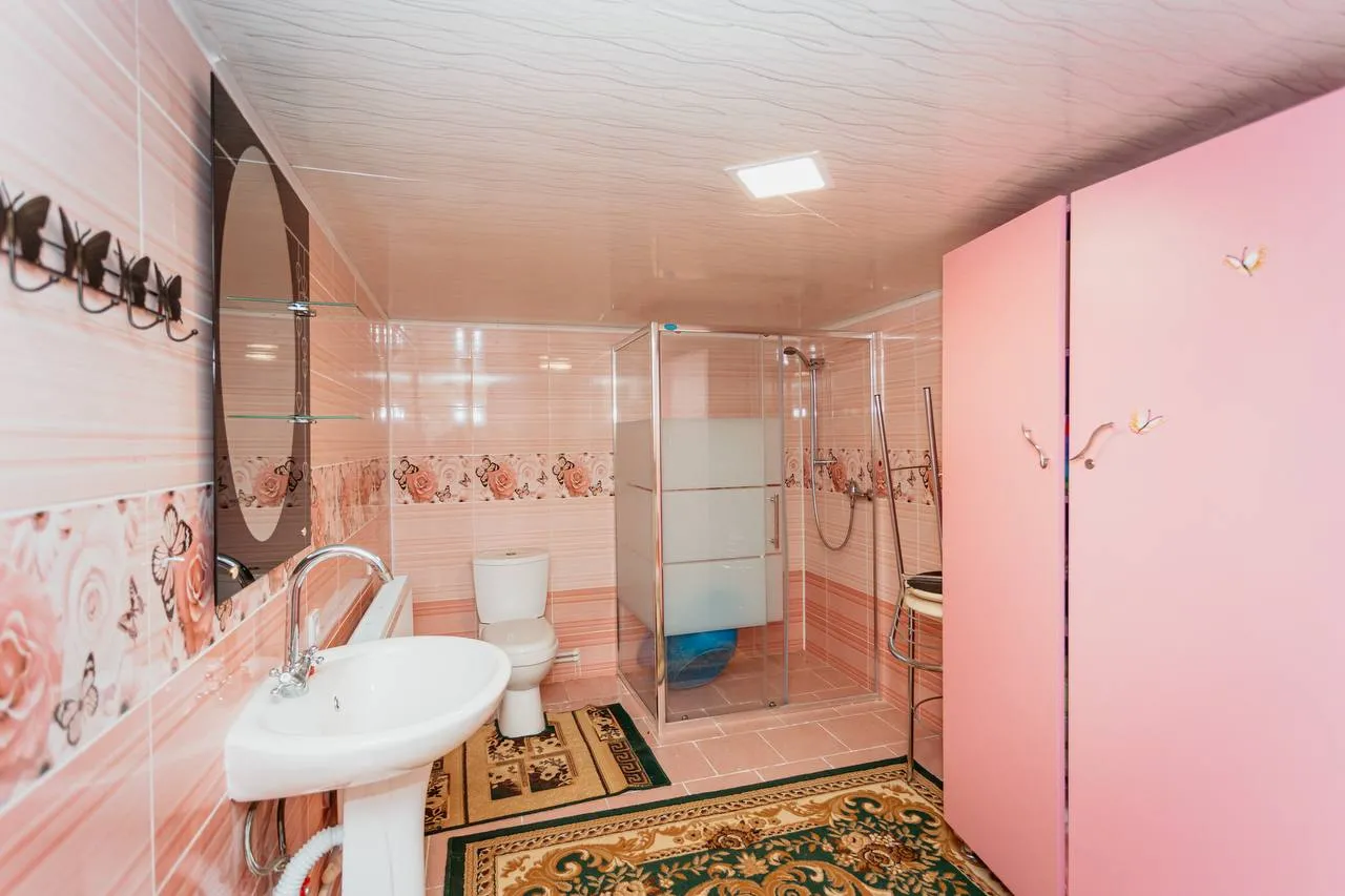 Anenii Noi Maximovca str. Tineretului  22