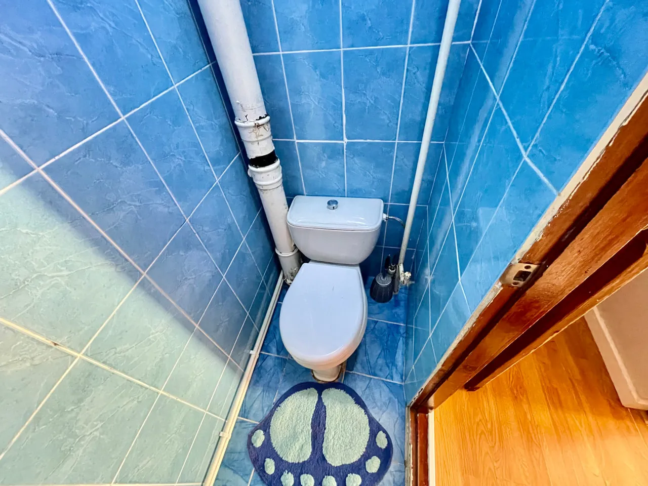 Ialoveni, Centru str. Alexandru cel Bun 7