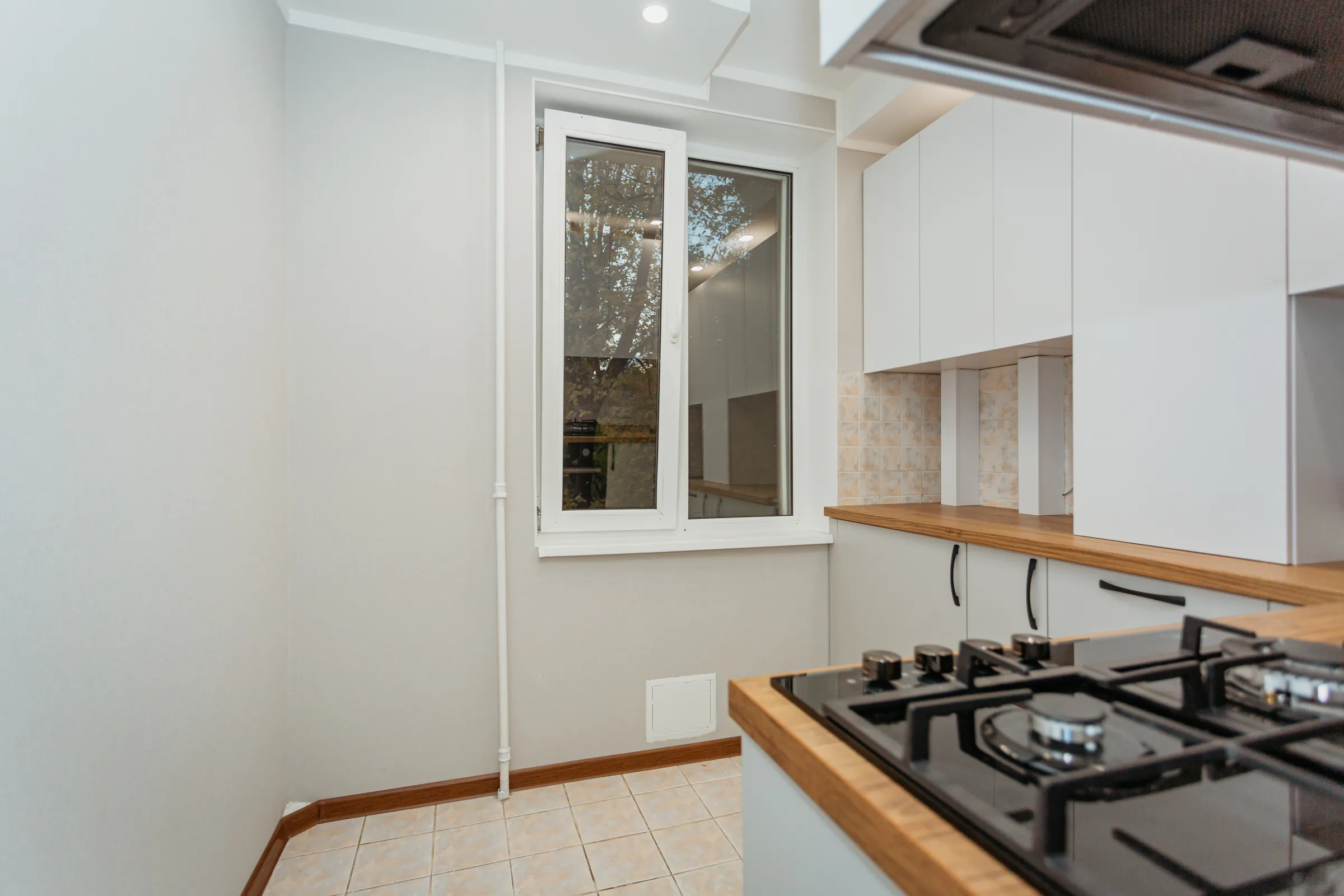 Кишинев Ботаника бул. Дечебал 4