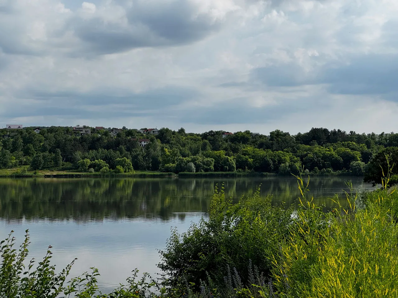 Ialoveni Dănceni I.P.Plodovod  5