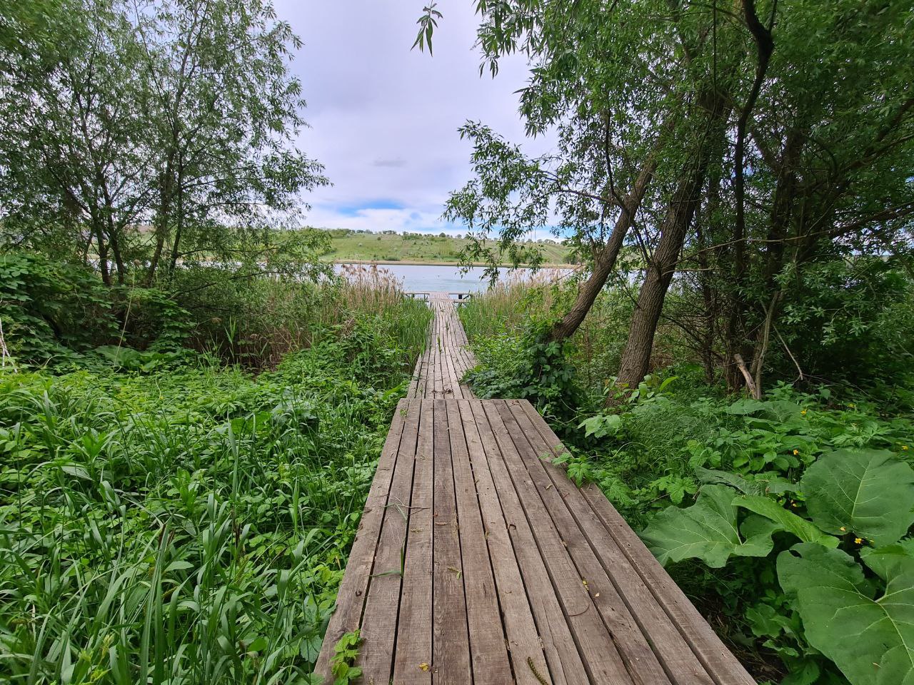 Ialoveni Nimoreni 14