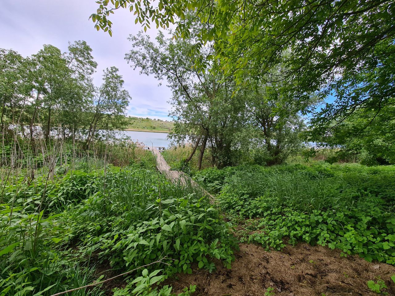 Ialoveni Nimoreni 20