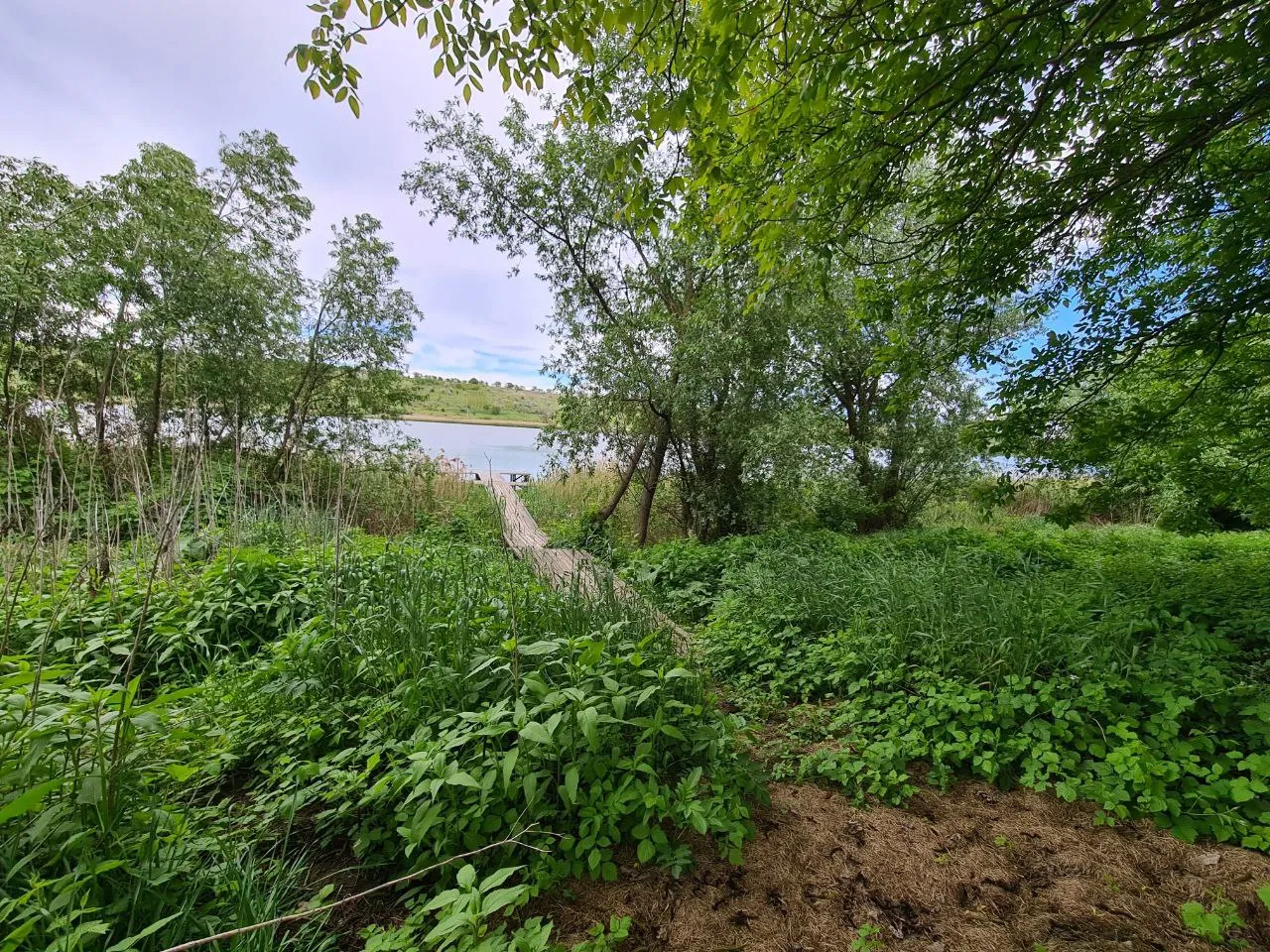 Ialoveni Nimoreni 20