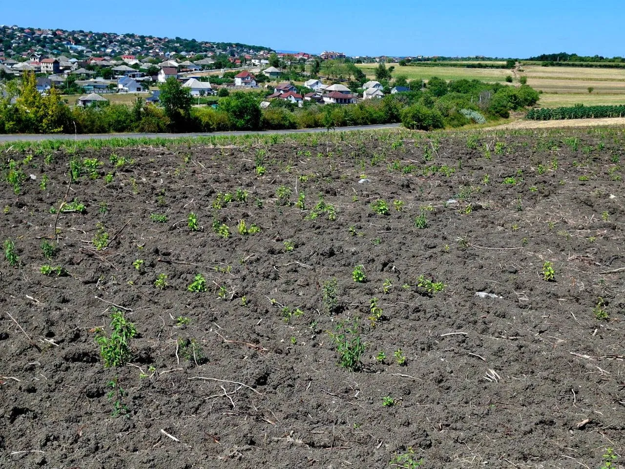 Chișinău, Colonița str. Tohatin 4