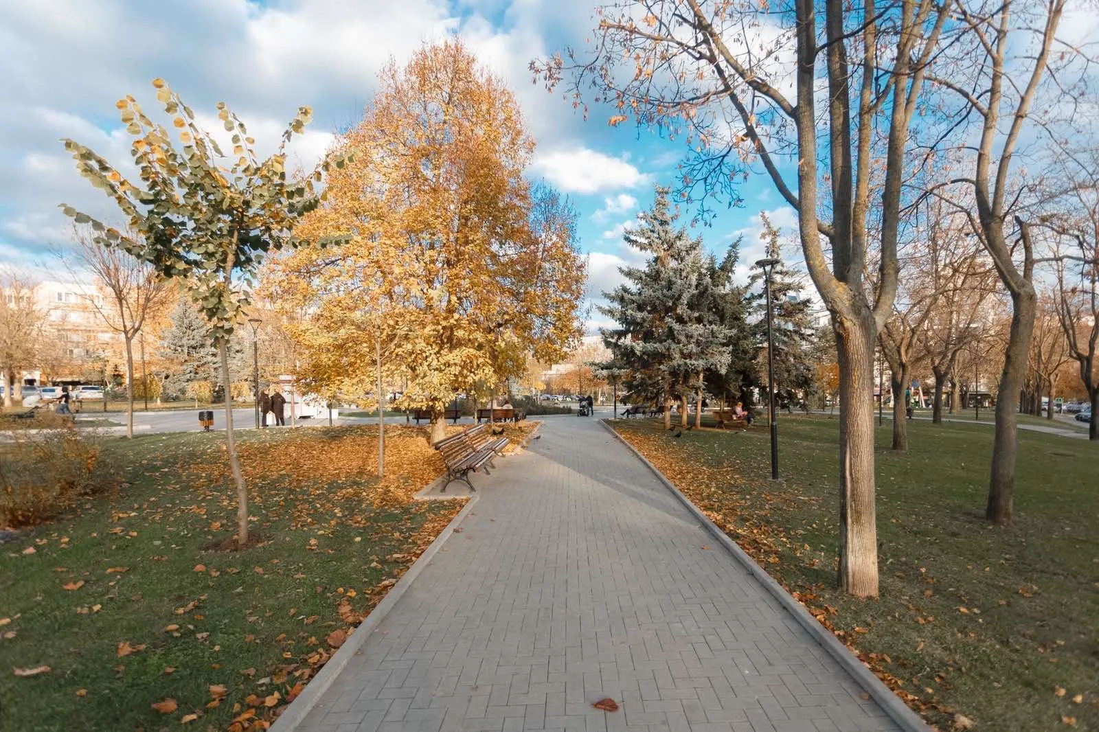 Chișinău Rîșcani str. Miron Costin 11