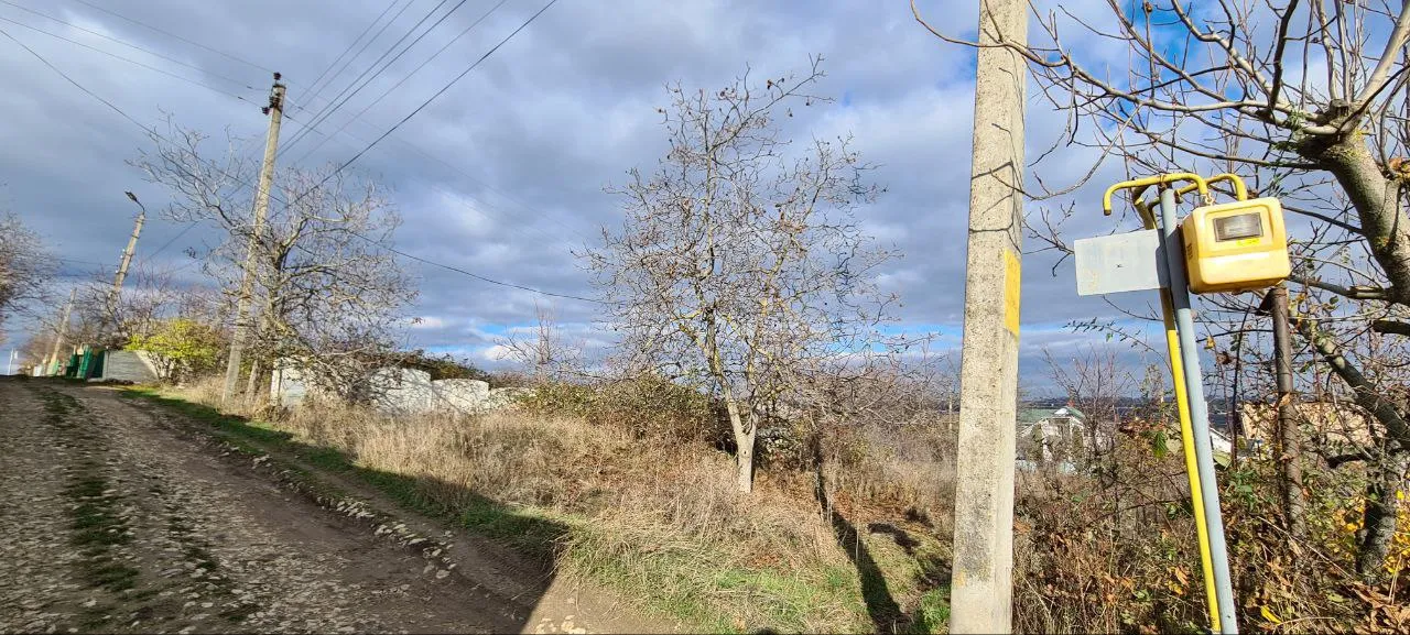 Ialoveni Dănceni I.P.„Lesnaia Poleana” 5