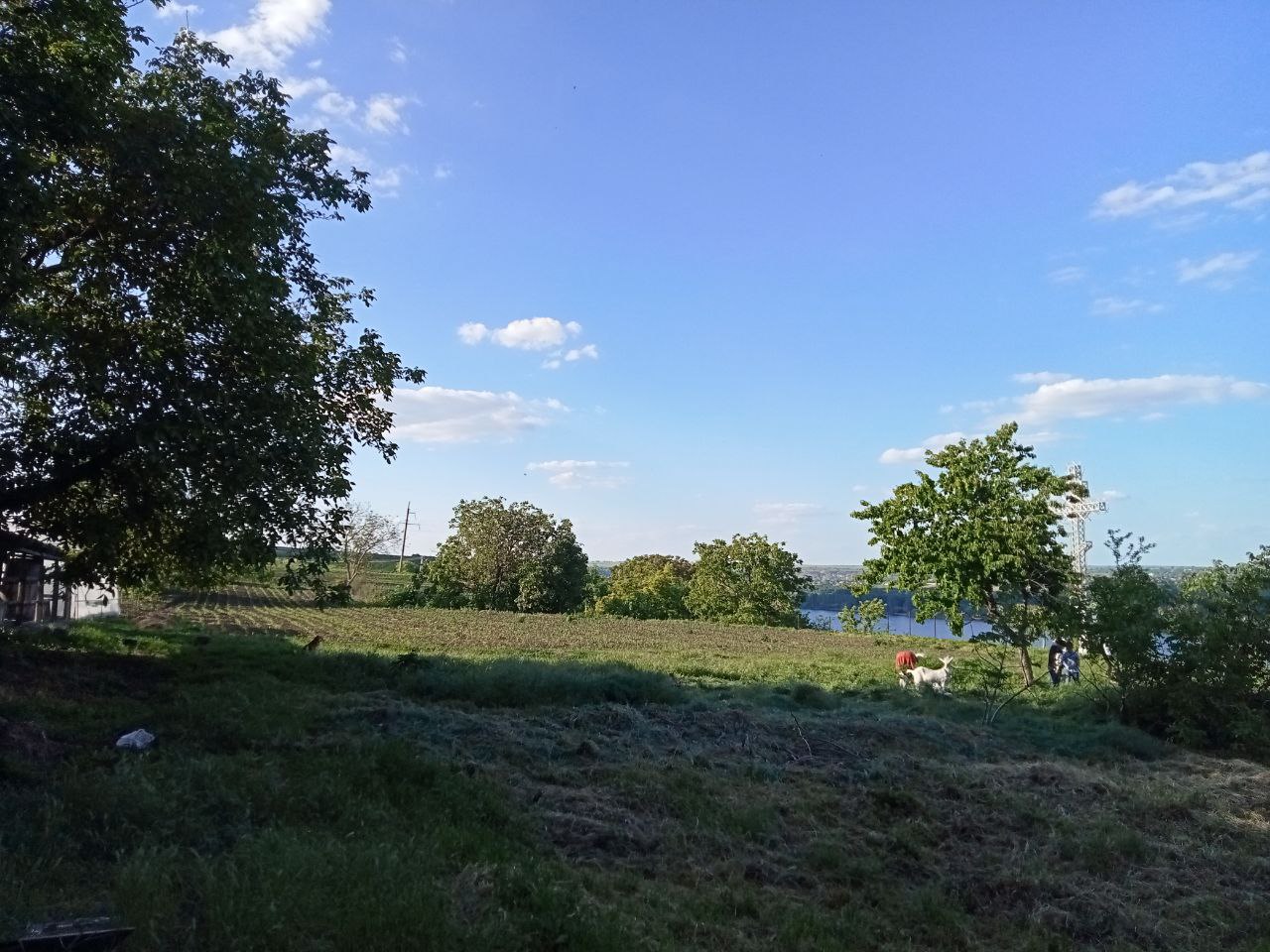 Dubăsari Holercani  7