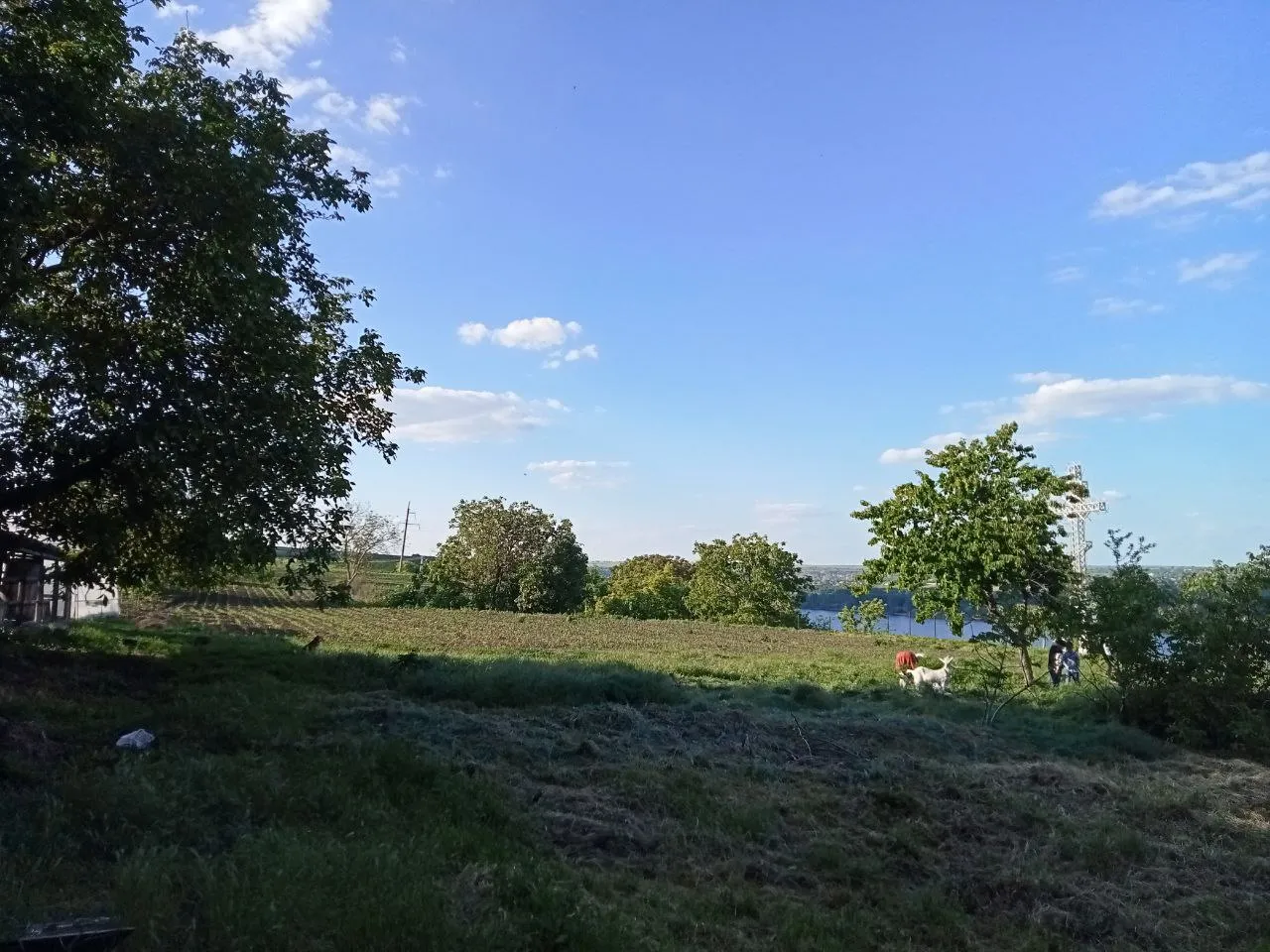 Dubăsari Holercani  7